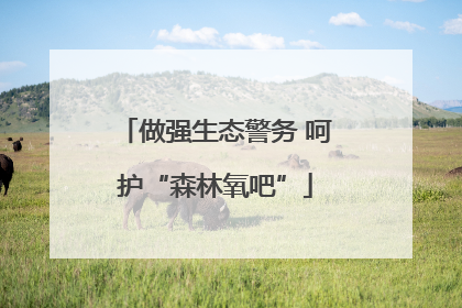 做强生态警务 呵护“森林氧吧”