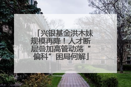 兴银基金洪木妹规模再降！人才断层叠加高管动荡“偏科”困局何解