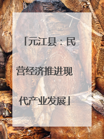 元江县：民营经济推进现代产业发展