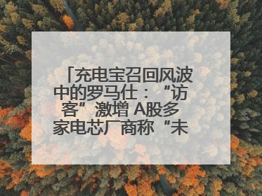 充电宝召回风波中的罗马仕：“访客”激增 A股多家电芯厂商称“未供货”