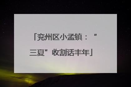 兖州区小孟镇：“三夏”收割话丰年