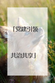 党建引领 共治共享