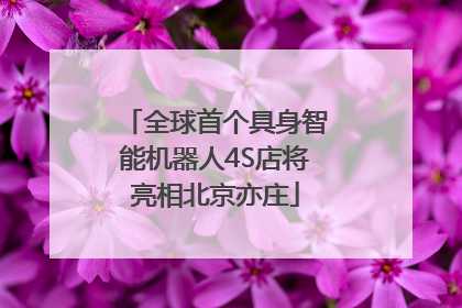 全球首个具身智能机器人4S店将亮相北京亦庄