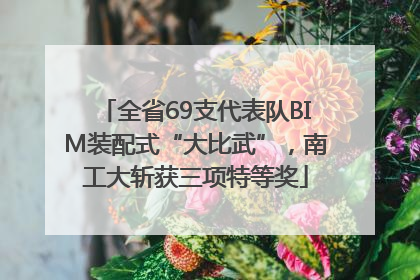 全省69支代表队BIM装配式“大比武”，南工大斩获三项特等奖