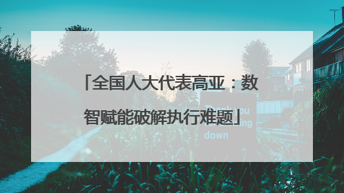 全国人大代表高亚：数智赋能破解执行难题