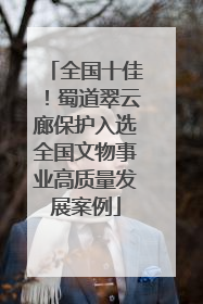 全国十佳！蜀道翠云廊保护入选全国文物事业高质量发展案例