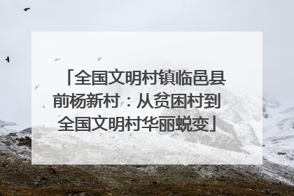 全国文明村镇临邑县前杨新村：从贫困村到全国文明村华丽蜕变