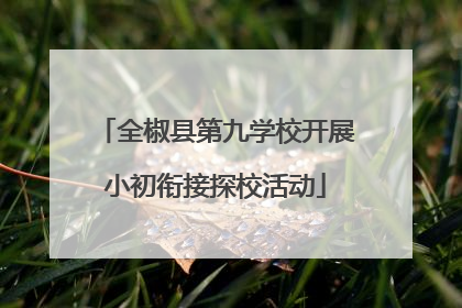 全椒县第九学校开展小初衔接探校活动