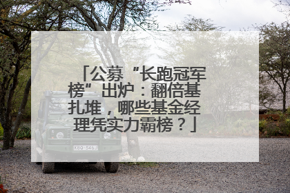 公募“长跑冠军榜”出炉：翻倍基扎堆，哪些基金经理凭实力霸榜？