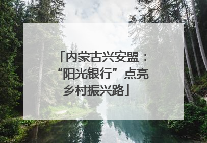 内蒙古兴安盟：“阳光银行”点亮乡村振兴路