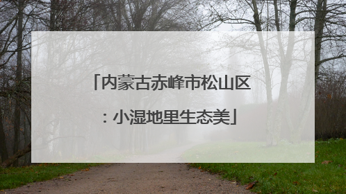 内蒙古赤峰市松山区：小湿地里生态美