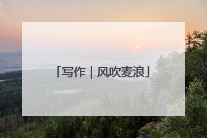 写作｜风吹麦浪