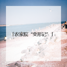 农家院“变形记”