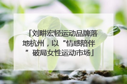 刘畊宏轻运动品牌落地杭州，以“情感陪伴”破局女性运动市场