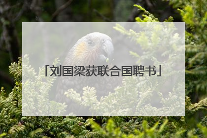 刘国梁获联合国聘书