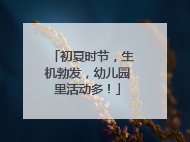 初夏时节，生机勃发，幼儿园里活动多！