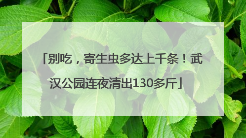 别吃，寄生虫多达上千条！武汉公园连夜清出130多斤