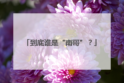 到底谁是“南哥”？