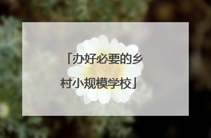 办好必要的乡村小规模学校