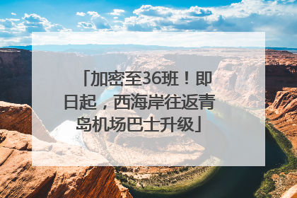加密至36班！即日起，西海岸往返青岛机场巴士升级
