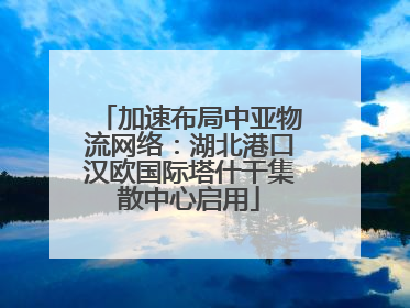 加速布局中亚物流网络：湖北港口汉欧国际塔什干集散中心启用