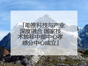 助推科技与产业深度融合 国家技术转移中部中心孝感分中心成立