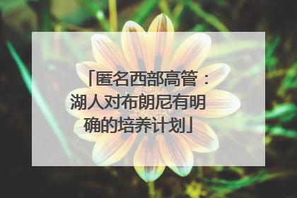匿名西部高管：湖人对布朗尼有明确的培养计划