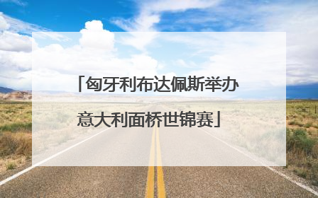 匈牙利布达佩斯举办意大利面桥世锦赛
