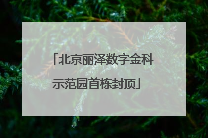 北京丽泽数字金科示范园首栋封顶