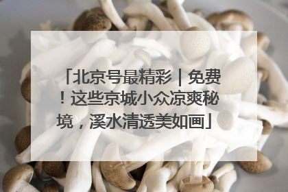 北京号最精彩｜免费！这些京城小众凉爽秘境，溪水清透美如画