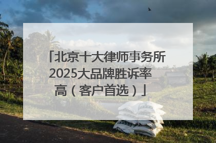 北京十大律师事务所2025大品牌胜诉率高（客户首选）