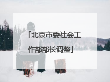 北京市委社会工作部部长调整