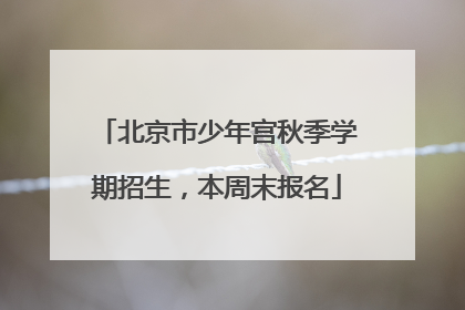北京市少年宫秋季学期招生，本周末报名