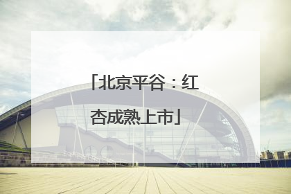 北京平谷：红杏成熟上市