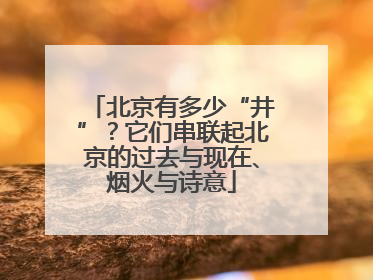 北京有多少“井”？它们串联起北京的过去与现在、烟火与诗意