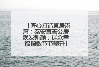 匠心打造宜居港湾：泰安直管公房焕发新颜，群众幸福指数节节攀升