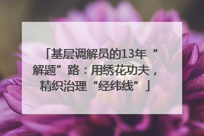 基层调解员的13年“解题”路：用绣花功夫，精织治理“经纬线”