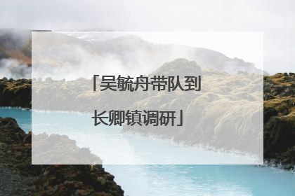 吴毓舟带队到长卿镇调研