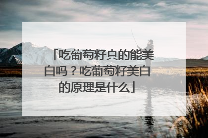 吃葡萄籽真的能美白吗？吃葡萄籽美白的原理是什么