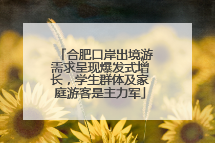 合肥口岸出境游需求呈现爆发式增长，学生群体及家庭游客是主力军