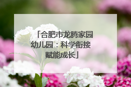合肥市龙腾家园幼儿园：科学衔接 赋能成长