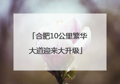 合肥10公里繁华大道迎来大升级