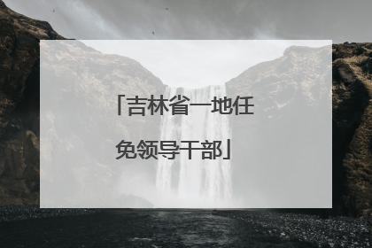 吉林省一地任免领导干部