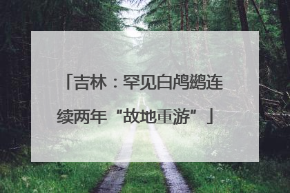 吉林：罕见白鸬鹚连续两年“故地重游”