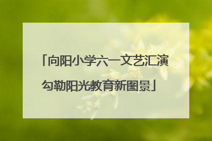 向阳小学六一文艺汇演勾勒阳光教育新图景
