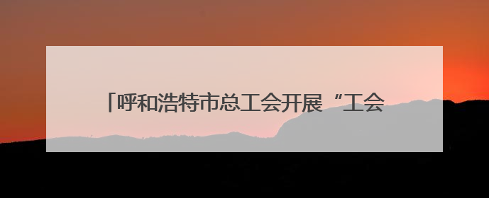 呼和浩特市总工会开展“工会促消费 会员享普惠”活动