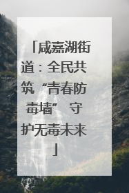 咸嘉湖街道：全民共筑“青春防毒墙” 守护无毒未来