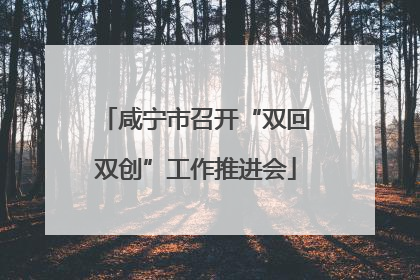 咸宁市召开“双回双创”工作推进会