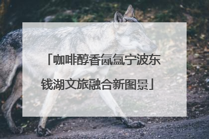 咖啡醇香氤氲宁波东钱湖文旅融合新图景