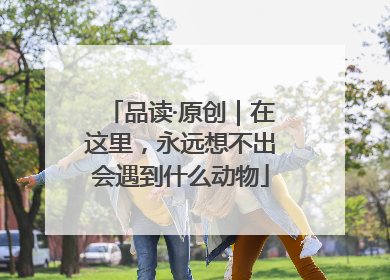 品读·原创｜在这里，永远想不出会遇到什么动物